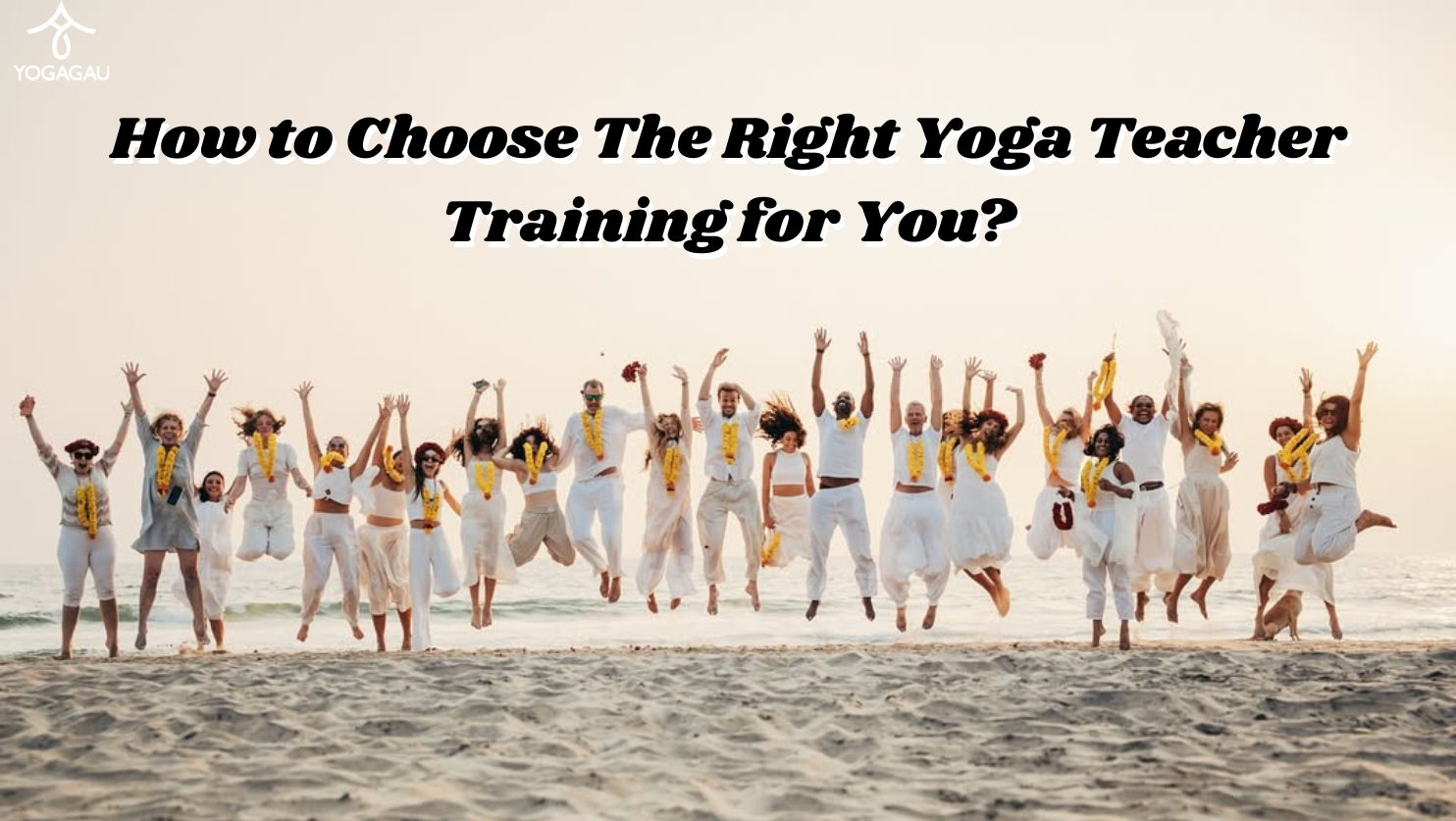How to Choose The Right Yoga Teacher Training for You?