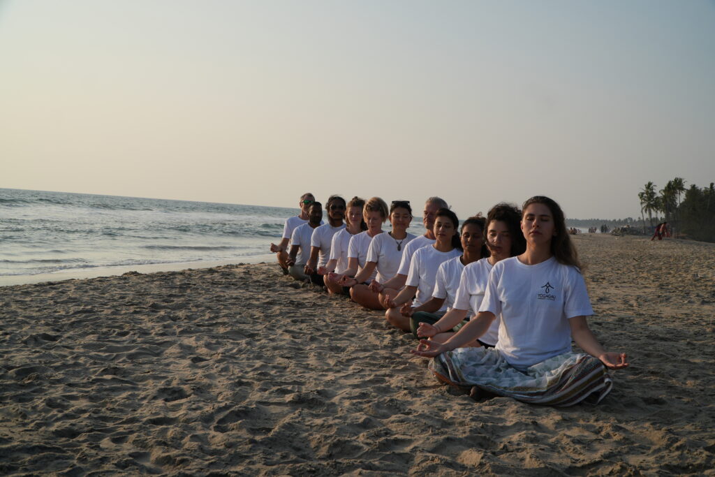 Things to Do During YTTC in Kerala