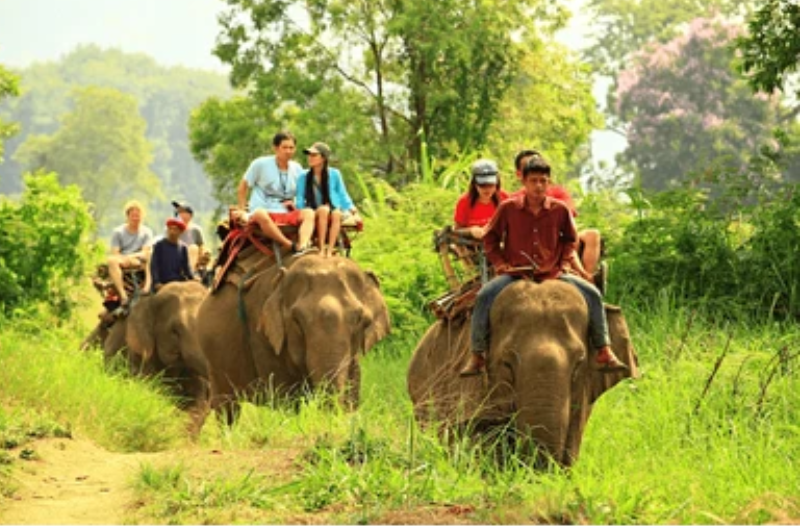 Kerala Weather Guide: Best Time to Visit Kerala
