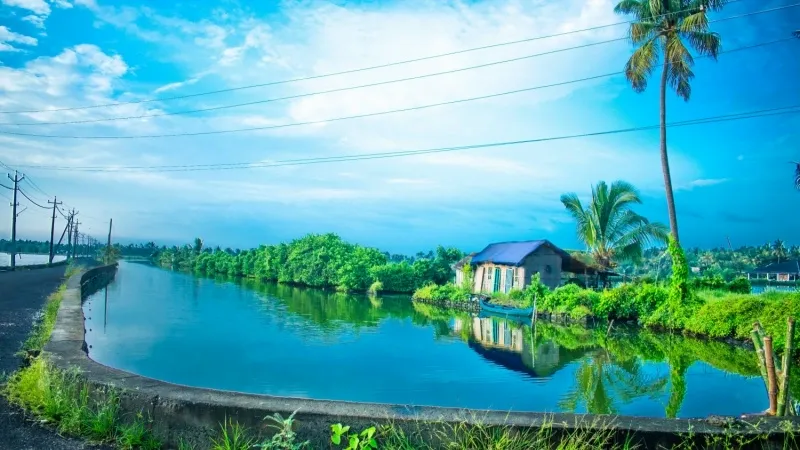 Kerala Weather Guide: Best Time to Visit Kerala