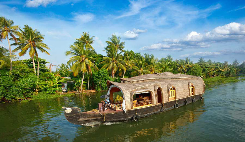 Kerala vs. Rishikesh: Which Is Better for Yoga Teacher Training?