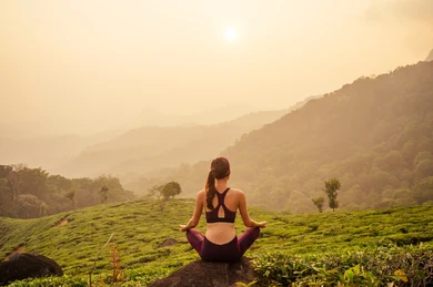 Kerala vs. Rishikesh: Which Is Better for Yoga Teacher Training?