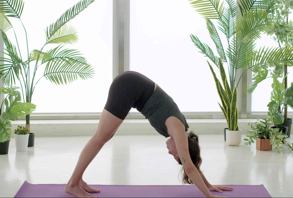 Work-Life Balance For Dentists: What Kerala's Yoga Tradition Can Teach Us?