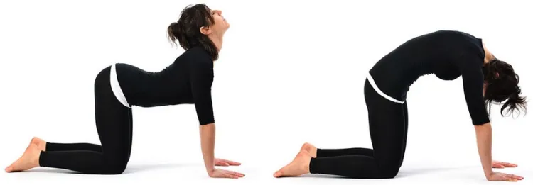 10 Best Yoga Poses for Back Pain