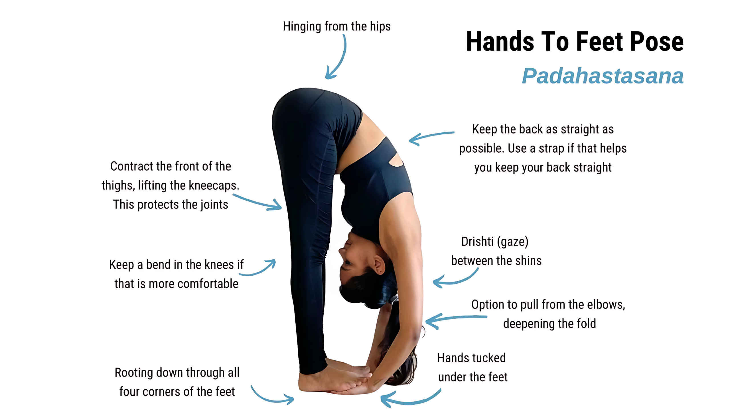 Surya namaskar 12 steps 